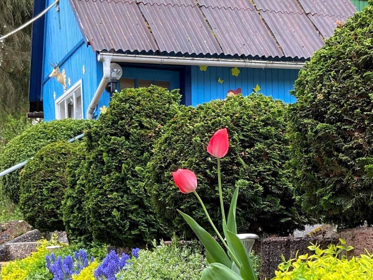 Ferienwohnung Hofmann-Trier Coburg Exteriér fotografie